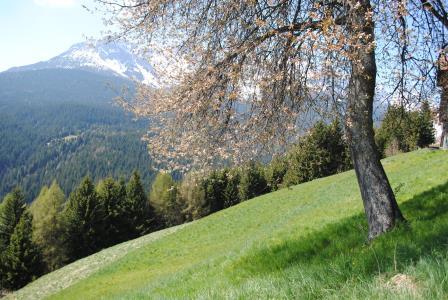 bikers panorama comelico